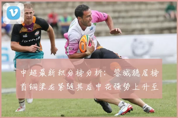 中超最新积分榜分析：蓉城稳居榜首铜梁龙紧随其后申花强势上升至第五位津门虎仍陷负分困境